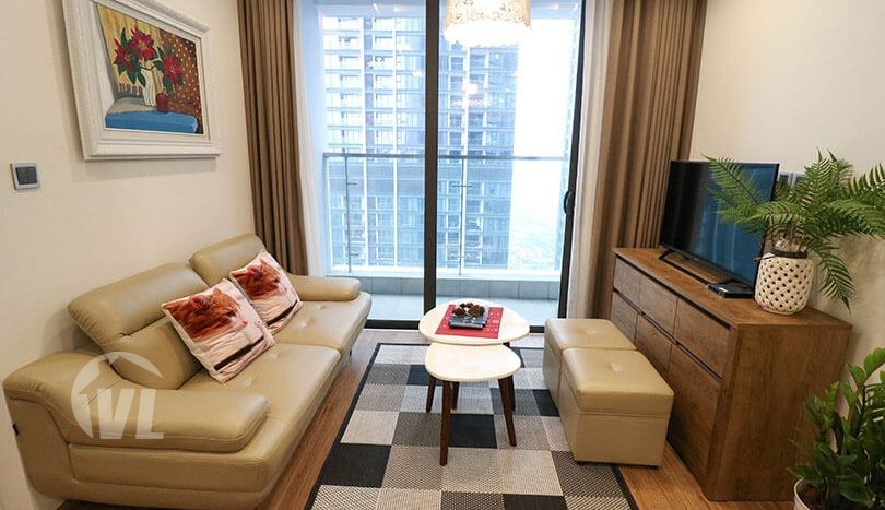 Homey one bedroom apartment in Metropolis (1)