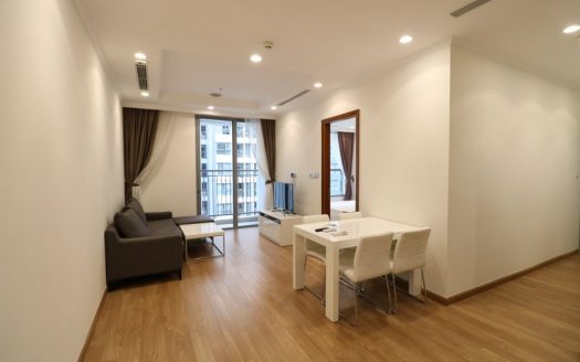 modern full furniture 2 bedroom apartment Times City Park Hill