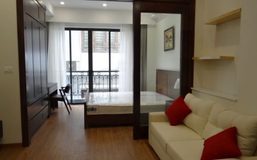 Hi-quality one bedroom apartment in Lieu Giai for rent (2)