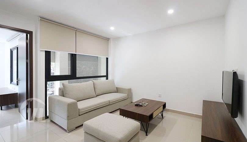 1 Bedroom Apartment In Lac Chinh