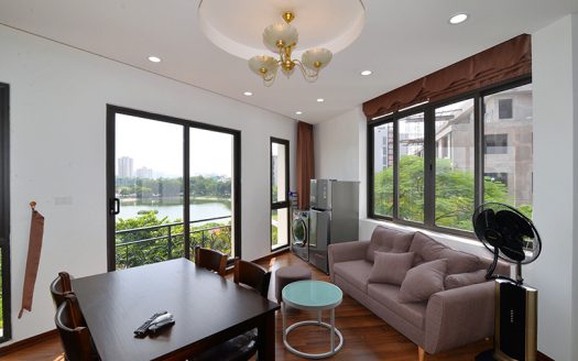 lake-view-brand-new-one-bedroom-apartment-in-ho-ba-mau (11)