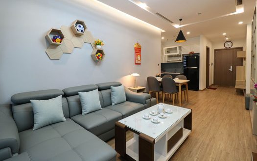 homey-02-bedroom-apartment-in-m1-metropolis (3)