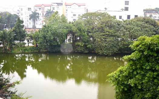 4 beds partly furnished house to rent with lake view in Tay Ho