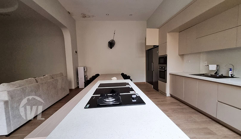 Modern villa with garden to rent close to LFAY in Long Bien