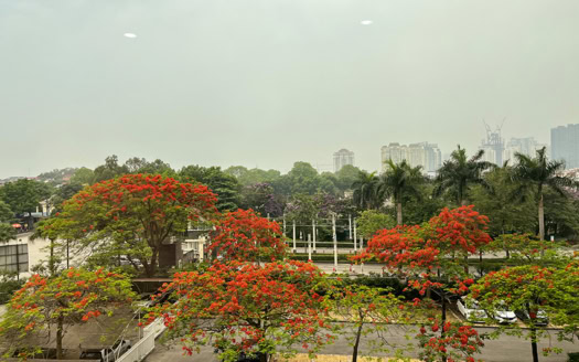 Spacious 4-Bedroom Apartment for Rent in Ciputra – E4 Building