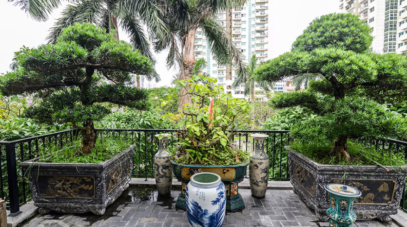 Furnished 5 beds house to let close to UNIS in Ciputra